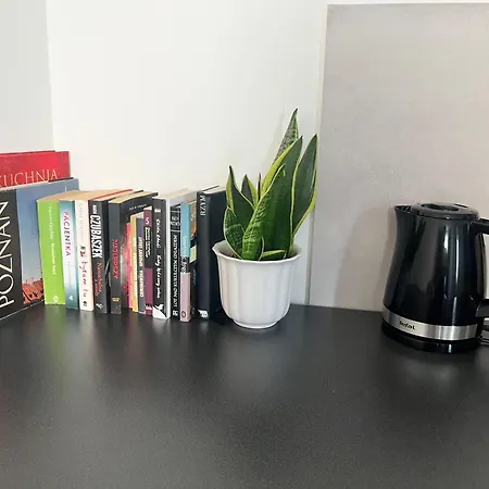 Wierzbiecice 44 Apartamento